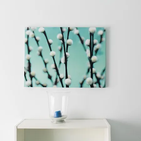 Estudios Sierra De Francia Bejar