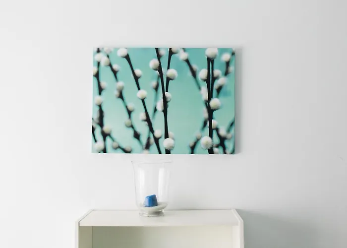 Estudios Sierra De Francia Béjar